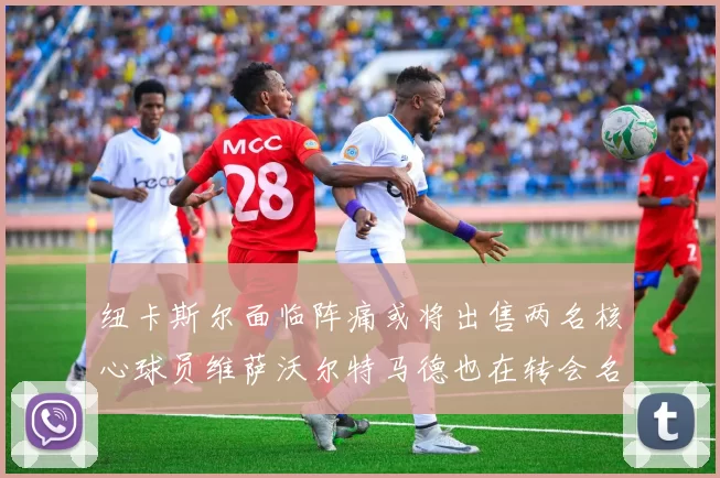 纽卡斯尔面临阵痛或将出售两名核心球员维萨沃尔特马德也在转会名单上