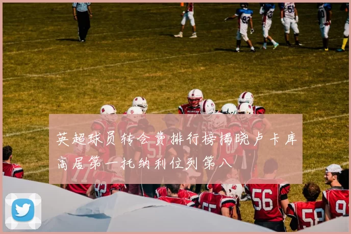 英超球员转会费排行榜揭晓卢卡库高居第一托纳利位列第八